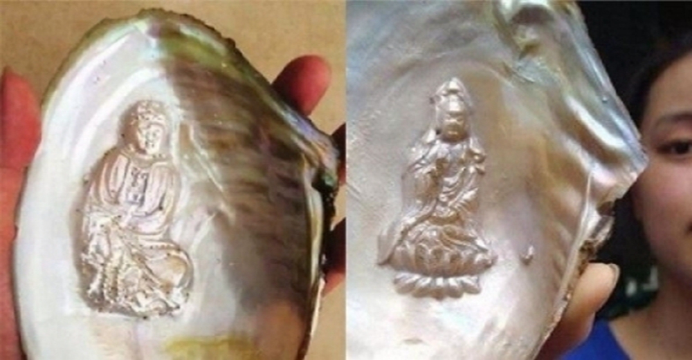 女子旅遊從沙灘上撿了一袋貝殼回家洗，卻看到觀音，立馬跪了下來，卻沒想到它是！