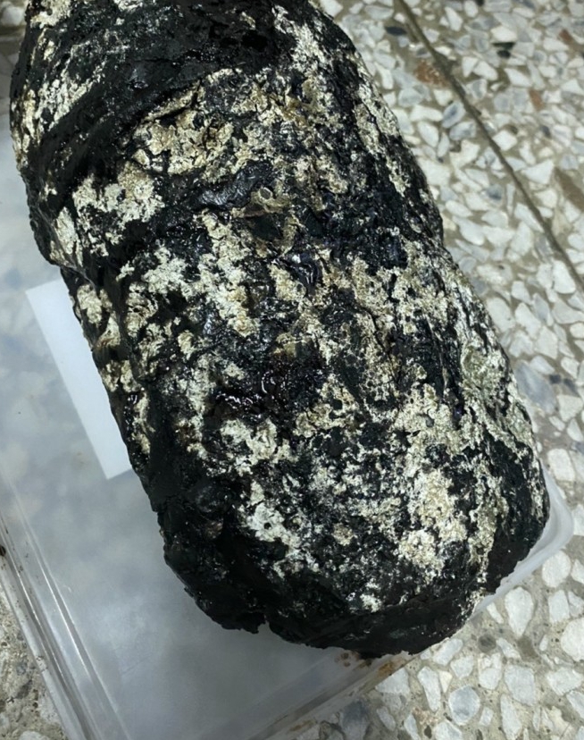 比黃金還貴？蘭嶼撿到「4公斤巨大黑石」不斷散發香味　專家鑑定「真品估值600萬」：古代皇帝才能用