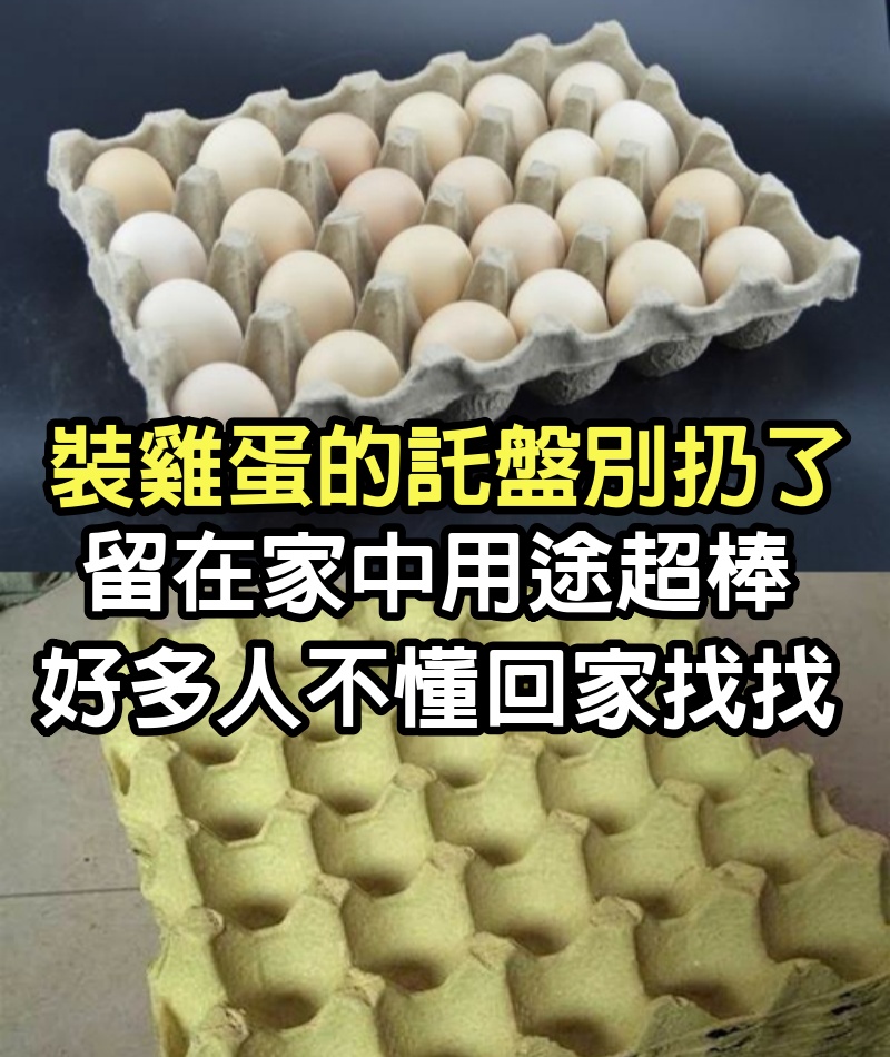 裝雞蛋的託盤別扔了，留在家中用途超棒，好多人不懂，回家找找