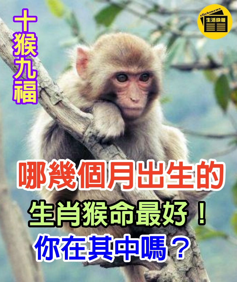 十猴九福！哪幾個月出生的生肖猴命最好，你在其中嗎？