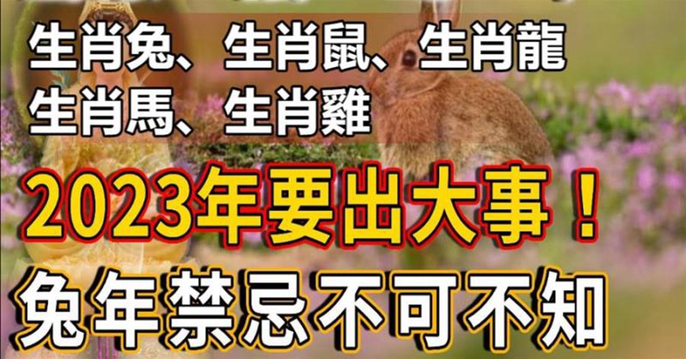 生肖兔、生肖鼠、生肖龍、生肖馬、生肖雞，2023要出大事，兔年禁忌不可不知