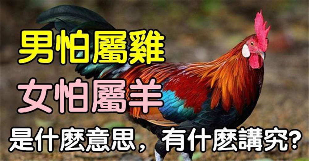 農村俗語：男怕屬雞，女怕屬羊，你知道是什麼意思嗎？