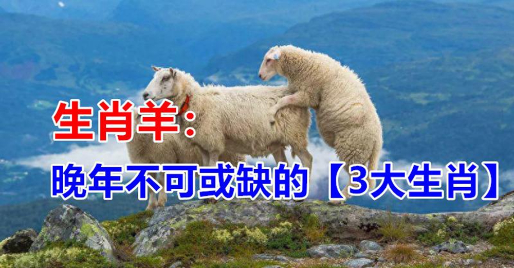 生肖羊：晚年不可或缺的「3大生肖」　原來能依靠的是「這個人」請珍惜