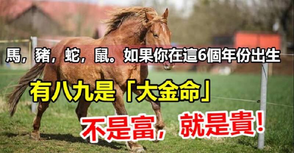 馬，豬，蛇，鼠！如果你在「這6個年份」出生　十有八九是「大金命」不是富就是貴