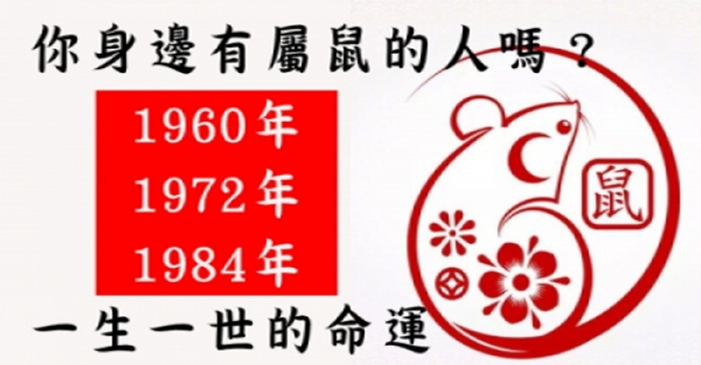 你身邊有屬鼠的人嗎？1960年、1972年、1984年的生肖鼠，一生一世的命運神准！