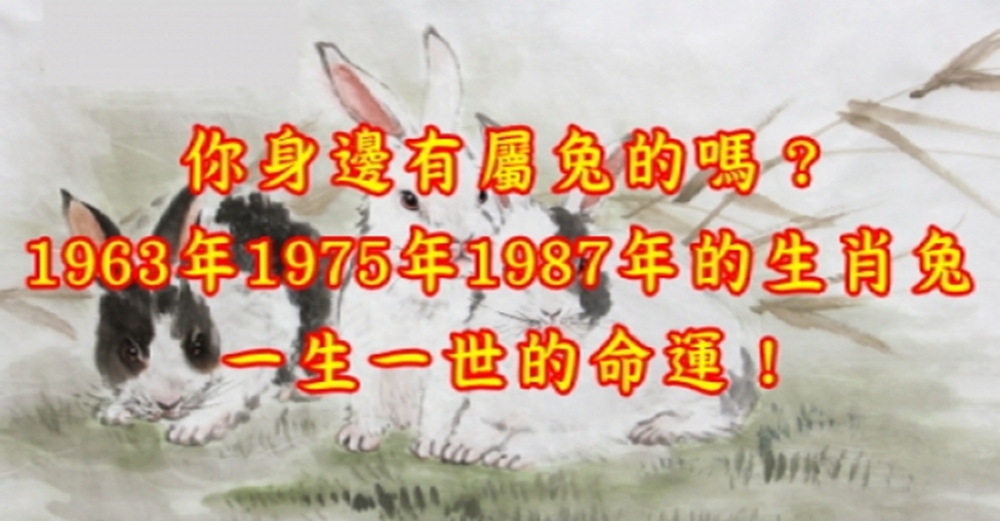 你身邊有屬兔的嗎？1963年、1975年、1987年的生肖兔，一生一世的命運！