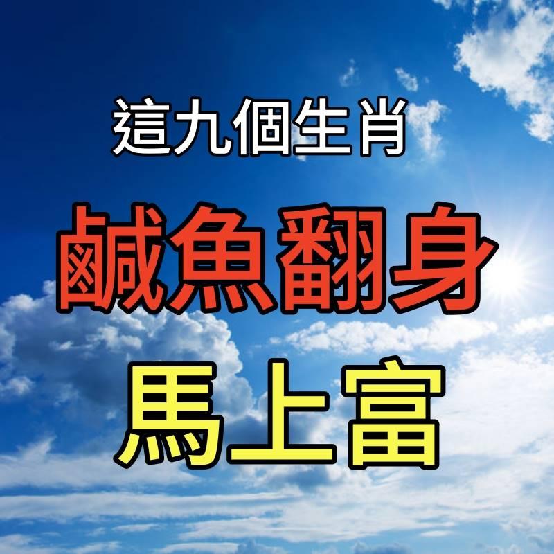 這九個生肖，鹹魚翻身馬上富，高攀不起。