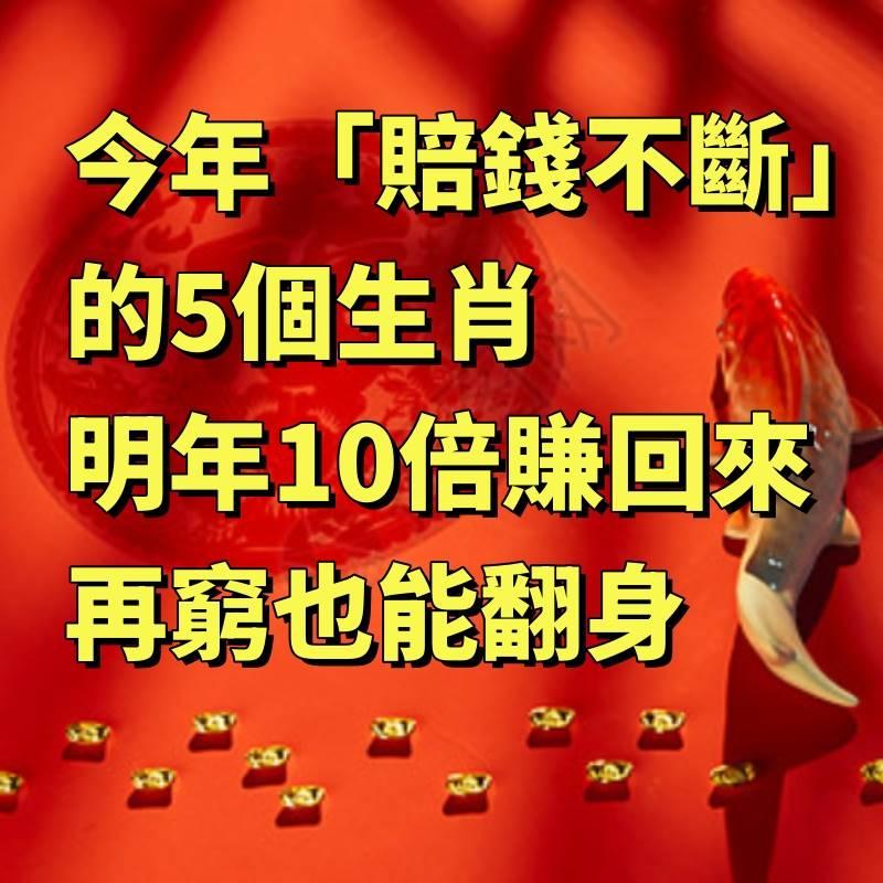 別灰心！今年「賠錢不斷」的5個生肖 明年「10倍賺回來」再窮也能翻身