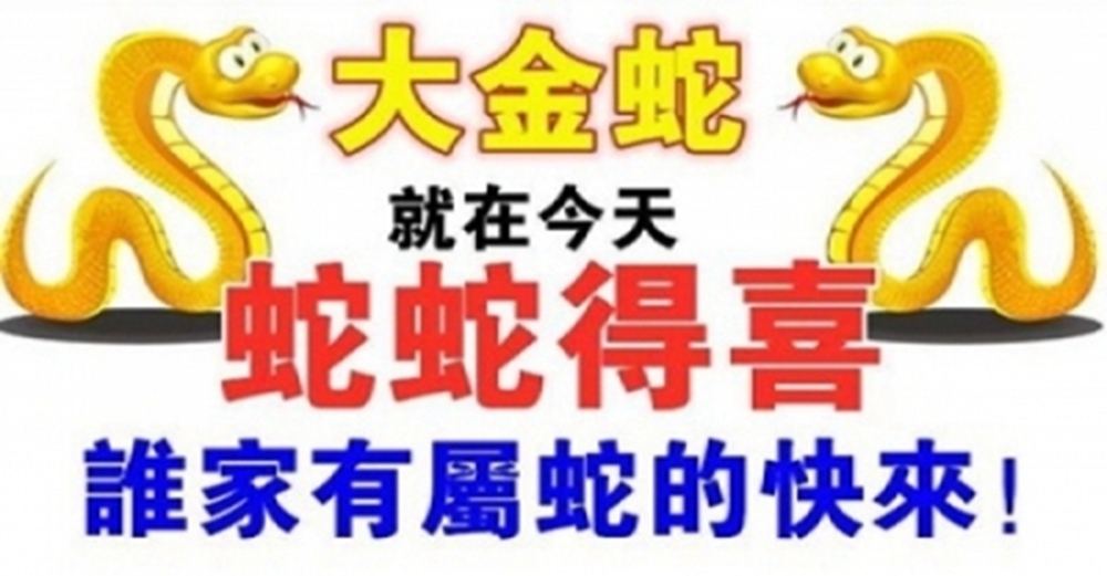 大金蛇：注意！屬蛇人要轉運了！你身邊有屬蛇的嗎？