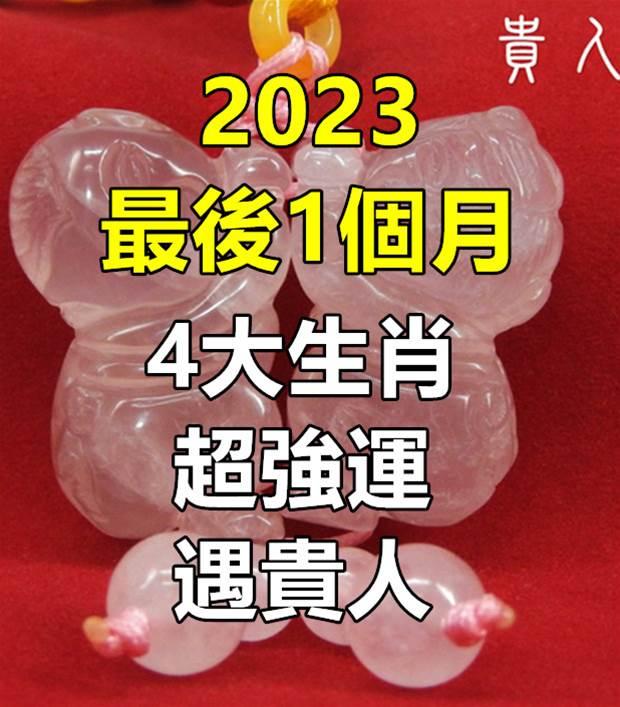 2023最後1個月！12月「4大生肖超強運」遇貴人