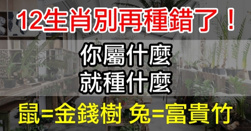 別種錯了！ 「屬什麼種什麼」 １２生肖這樣做財運越來越旺！