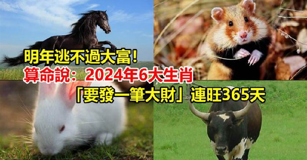 明年逃不過大富！算命說：2024年6大生肖「要發一筆大財」連旺365天