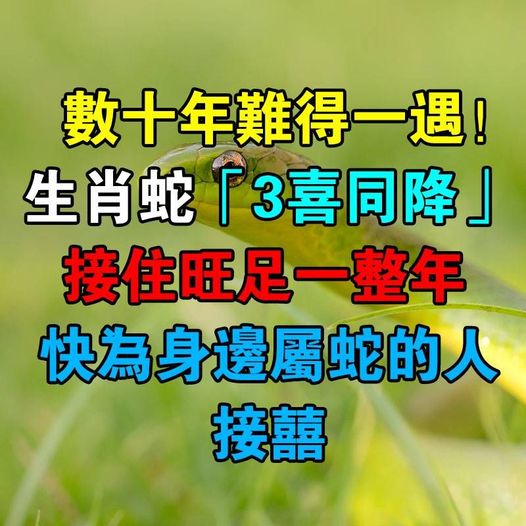 數十年難得一遇！生肖蛇「3喜同降」接住旺足一整年　快為身邊屬蛇的人接囍