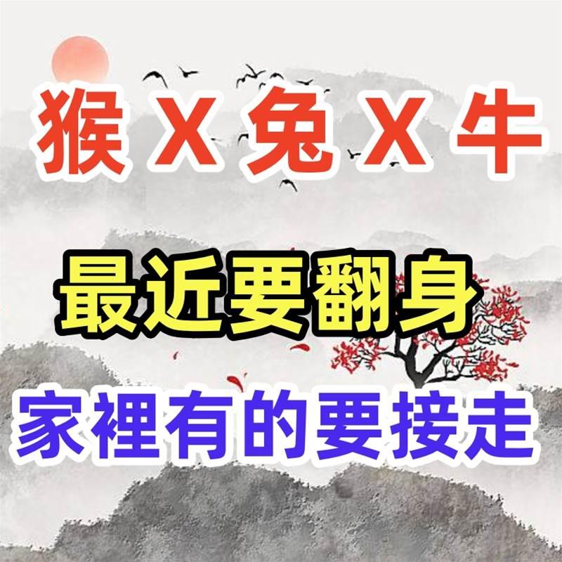 （猴 X 兔 X 牛）最近要翻身，家裡有的要接走