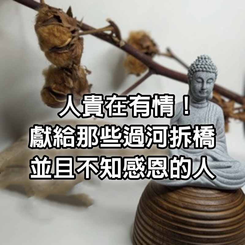 人貴在有情！獻給那些過河拆橋，並且不知感恩的人