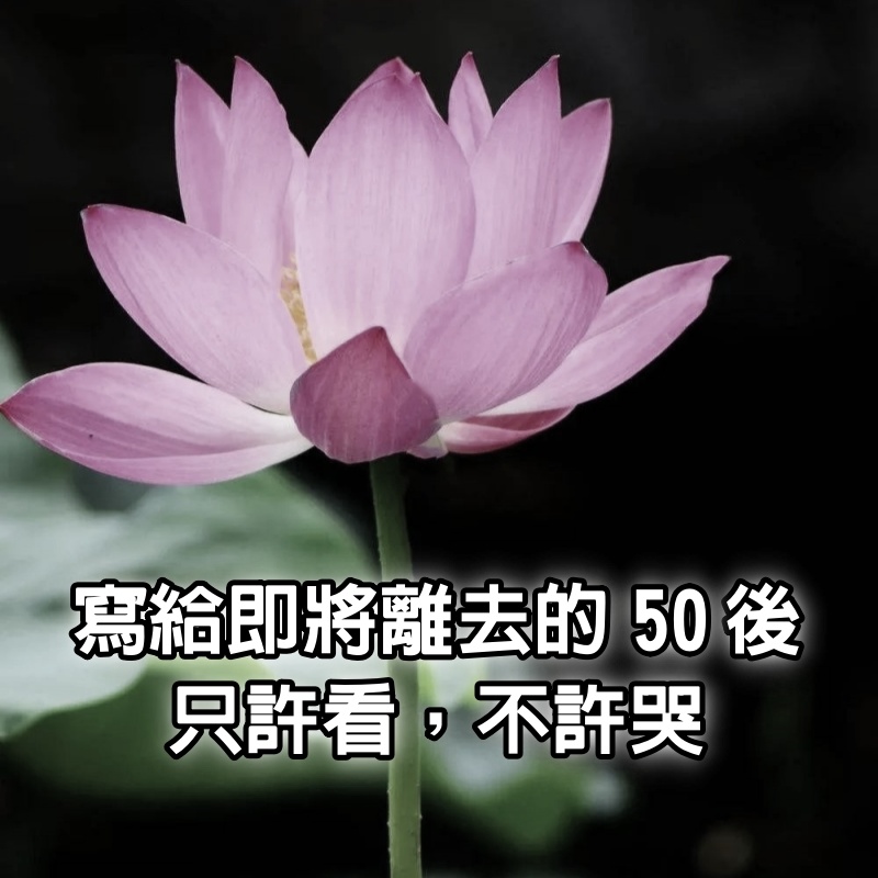 寫給即將離去的50後，只許看，不許哭