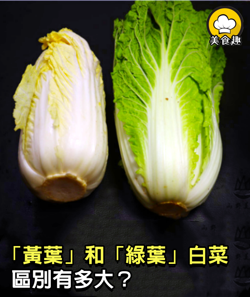 「黃葉」和「綠葉」白菜區別有多大？菜販子無意說漏嘴，漲知識了