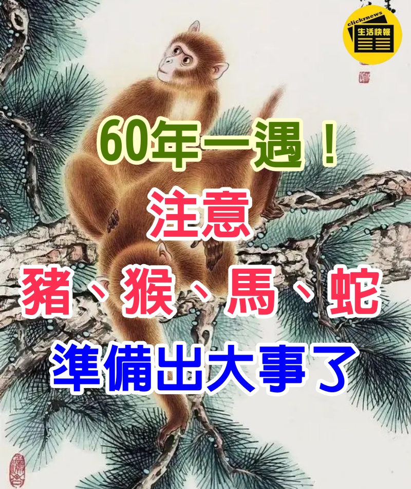 60年一遇！注意「豬、猴、馬、蛇」準備出大事了